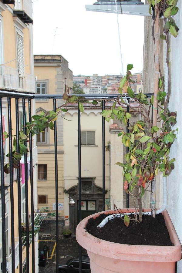 Tiny Daisy House Napoli
